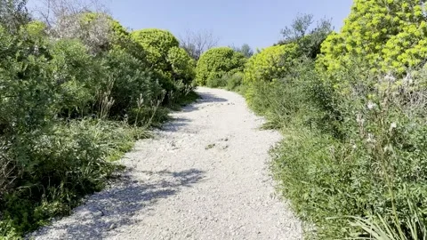 Green Rural Path Through the Albanian Riviera Stock Footage 345961940