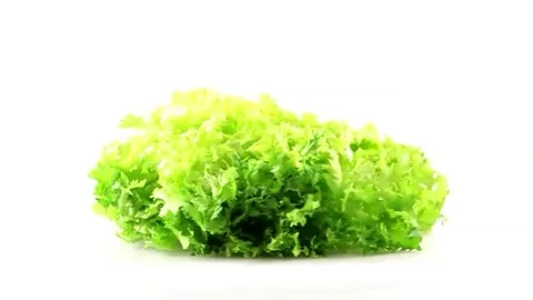 Green salad up close Stock Footage 98247630