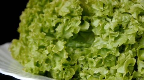Green Salad Closeup Stock Footage 65446608
