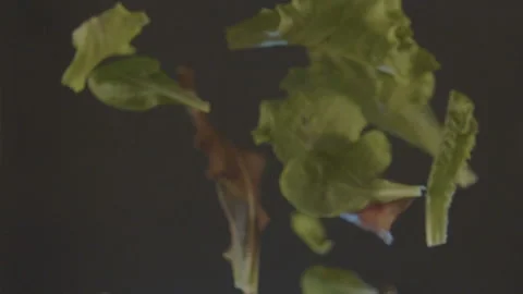 Green salad flies on a black background. Slow-motion shot Stock Footage 94582636