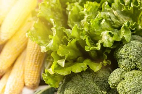Green salad leaves on the background of cauliflower and ripe corn Stock Photos