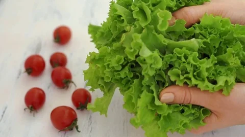 Green salad leaves Video stock 74689779