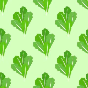 Green salad leaves vector seamless pattern, vegetable lettuce, Chinese cabbage Stock Illustration