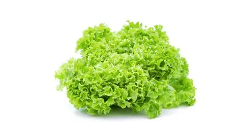 Green salad lollo loopable Stock Footage 8978374