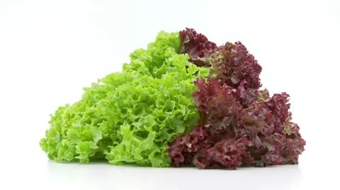 Green salad lollo low perspective loopable Stock Footage 8978684