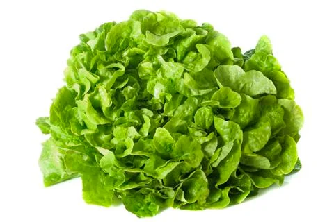 Green salad Stock Photos