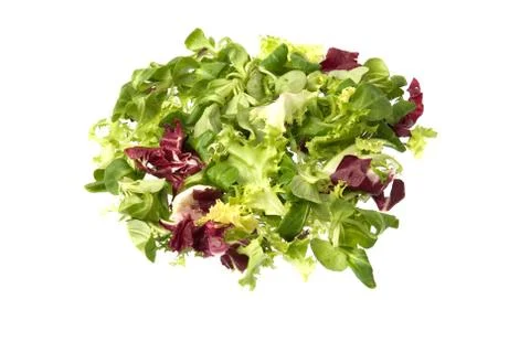 Green salad Stock Photos