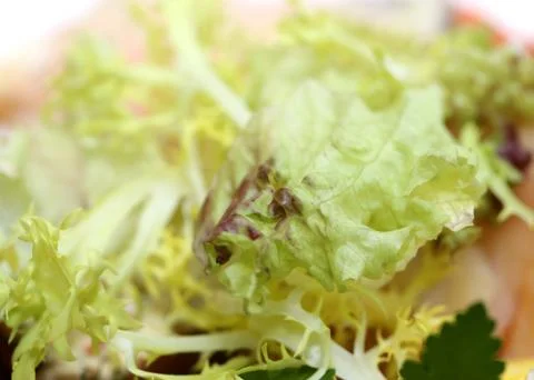 Green salad Stock Photos