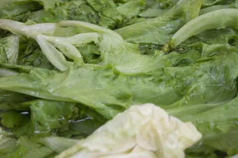 Green salad Stock Photos