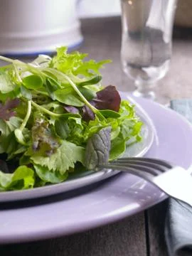Green salad Stockfoto's