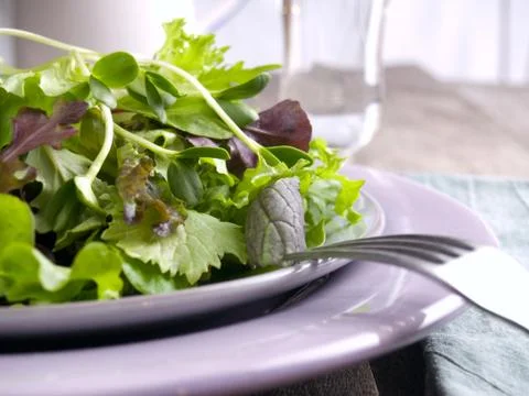 Green salad Stock Photos