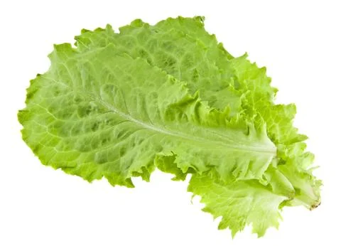 Green salad Stock Photos