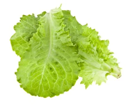 Green salad Stock Photos