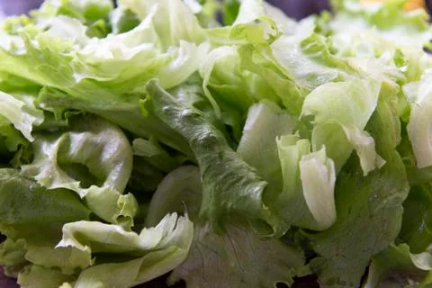 Green salad Stock-Fotos