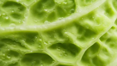Green salad rotating close-up. Savoy cabbage texture macro . Fresh vitamins Stock Footage 256727445