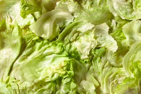 Green Salad Texture Stock Photos