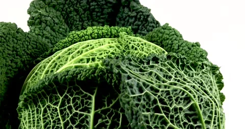 Green savoy cabbage rotating Stock Footage 146205962