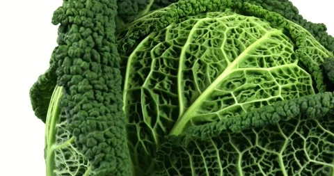 Green savoy cabbage rotating Stock Footage 146205967