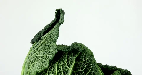 Green savoy cabbage rotating Stock Footage 146205980