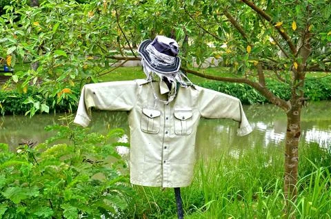 Green scarecrow Stock Photos