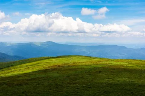 Green scenery in dappled light Stock Photos