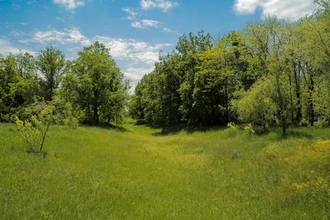 Green Scenery Photos