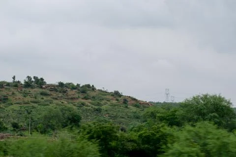 Green scenery. Stock Photos