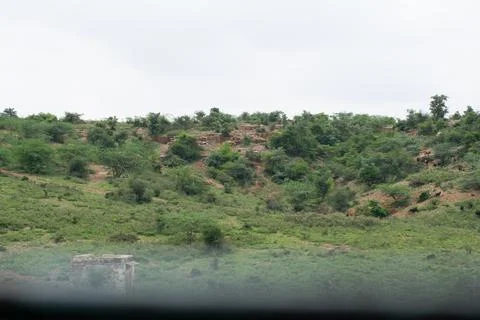 Green scenery. Stock Photos