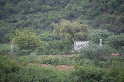 Green scenery. Stock Photos