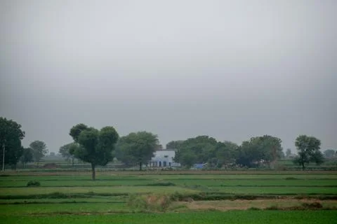 Green scenery. Stock Photos