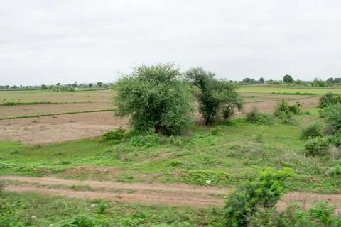 Green scenery. Stock Photos