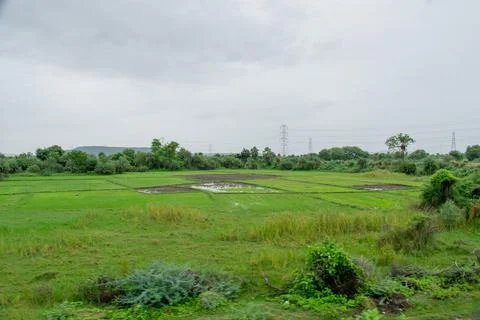 Green scenery. Stock Photos
