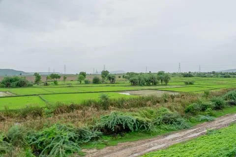 Green scenery. Stock Photos
