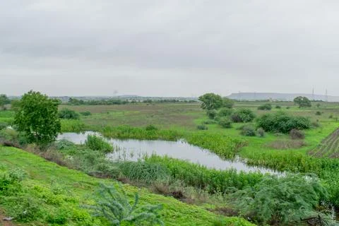 Green scenery. Stock Photos