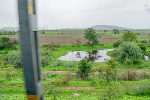 Green scenery. Stock Photos