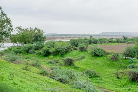 Green scenery. Stock Photos