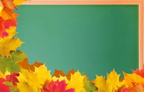 Green school blackboard with autumn leaves Stockfoto's