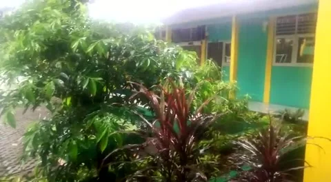 Green School Stock Footage 228897082