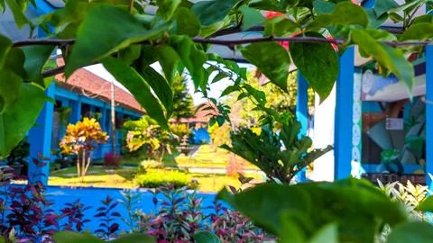 Green school yard, full of trees and flowers. Stock Photos