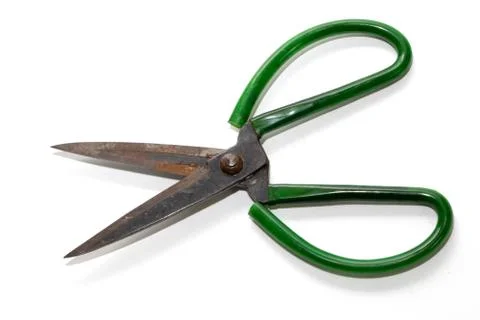 Green scissors isolated on a white background Stock Photos