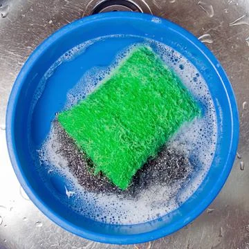 Green scourer Stock Photos