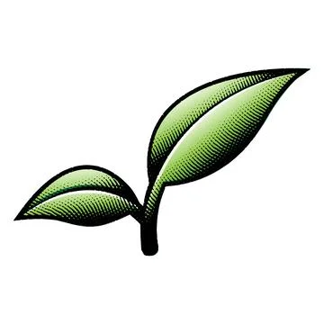 Green Scratchboard Engraved Leaf Branch Stock Illustration