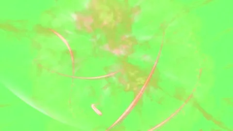Green screen with abstract light streaks and blurred background Vídeo Stock 337998171