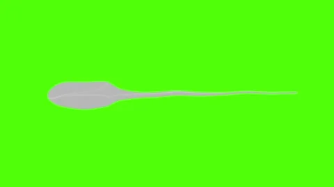 Green Screen Animated 3D Sperm with Matte Stock Footage 332779597