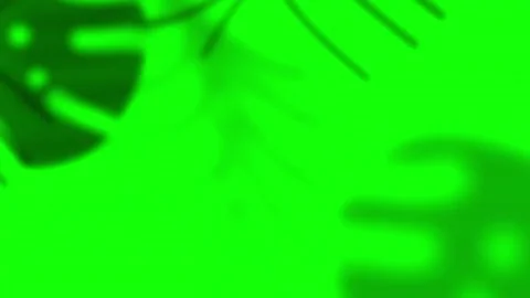 Green Screen Animated Leaves Graphic Overlay Stock Footage 335032485