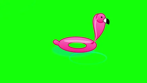 Green Screen Animated Megaphone Graphic Overlay Stock Footage 335032523
