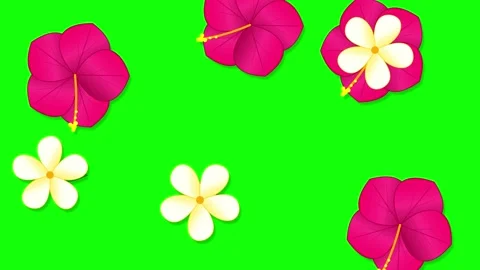 Green Screen Animated Tropical Graphic Overlay Stock Footage 335032557