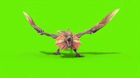 Green Screen Archaeopteryx Attacks Front Close up Dinoasaurs 3D Rendering An Stock Footage 342842149