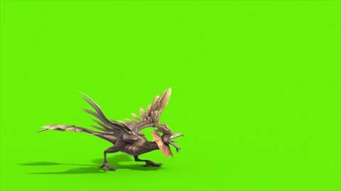 Green Screen Archaeopteryx Attacks Side Dinoasaurs 3D Rendering Animation CG Stock Footage 342842152