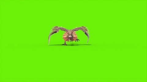 Green Screen Archaeopteryx Runs Front Dinoasaurs 3D Rendering Animation CGI Stock Footage 342842177